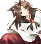  1girl animal_ears blush brooch brown_hair collarbone dress dutch_angle gorilla_(bun0615) grin half-closed_eyes head_tilt highres imaizumi_kagerou jewelry long_hair looking_at_viewer red_eyes smile solo touhou very_long_hair wolf_ears 