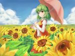  1girl blue_sky clouds fen_zuo flower garden_of_the_sun green_hair horizon kazami_yuuka long_sleeves looking_at_viewer outdoors parasol plaid plaid_skirt plaid_vest red_eyes short_hair skirt sky smile sunflower touhou umbrella 