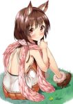  1girl animal_ears aster_(granblue_fantasy) back blush breasts brown_hair dog_ears granblue_fantasy long_hair looking_back mamedenkyuu_(berun) red_eyes scarf sideboob sitting small_breasts smile solo 