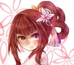  1girl ashun_(1607420403) brown_hair deemo face girl_(deemo) hair_ornament looking_at_viewer payot serious solo 