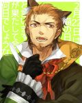  1boy animal_ears beard black_gloves brown_eyes brown_hair caster_of_red cat_ears facial_hair fate/apocrypha fate_(series) gloves high_collar kemonomimi_mode mustache ruchi solo 