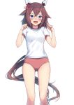  1girl bangs blue_eyes blush breasts brown_hair flower gym_shorts gym_uniform hair_flower hair_ornament hands_up highres looking_at_viewer medium_breasts open_mouth sakura_chiyono_o_(umamusume) shorts simple_background smile solo tail thighs tks_(526tks) umamusume white_background 