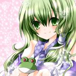  frog green_eyes green_hair hair_ornament kochiya_sanae long_hair nanase_nao touhou 