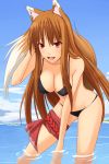  :d adjusting_hair animal_ears bangs bent_over bikini breasts brown_hair cleavage cloud fang holo large_breasts long_hair looking_at_viewer open_mouth outdoors red_eyes rope shuugetsu_karasu sideboob sky smile solo spice_and_wolf standing swimsuit tail thigh_strap very_long_hair wading water wolf_ears wolf_tail 