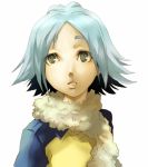  blue_hair face fubuki_shirou green_eyes inazuma_eleven scarf short_hair solo 