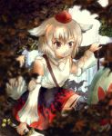  animal_ears bare_shoulders blurry depth_of_field detached_sleeves hat inubashiri_momiji knj red_eyes shield short_hair silver_hair solo stare sword tail tokin_hat touhou tree water waterfall weapon white_hair wolf_ears wolf_tail 