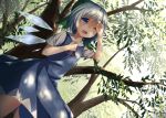  1girl blue_dress blue_eyes blue_hair cirno dappled_sunlight dress dutch_angle hand_on_own_chest hand_to_forehead one_eye_closed open_mouth pokio ribbon short_hair solo touhou tree wings 