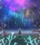  blurry cape coral depth_of_field from_behind head_wings kutta melia nature scenery shooting_star sky star_(sky) starry_sky xenoblade 