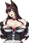  1girl animal_ears blush breasts brooch brown_hair cleavage collar corset dress hands_on_own_chest highres huge_breasts imaizumi_kagerou jewelry long_hair long_sleeves looking_at_viewer ninonini open_mouth red_eyes tail touhou wolf_ears wolf_tail 