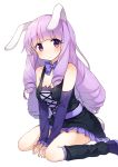  1girl animal_ears bare_shoulders blush bowtie breasts bunny_tail chuchu_(show_by_rock!!) cleavage curly_hair detached_sleeves highres long_hair looking_at_viewer purple_hair rabbit_ears shinoba show_by_rock!! simple_background sitting solo tail violet_eyes wariza white_background 