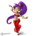  1girl bandeau bare_shoulders blue_eyes breasts choker chris_szczesiul cleavage collaboration dark_skin earrings full_body harem_pants highres hoop_earrings jewelry long_hair making_of midriff navel omni_jacala pants pointy_ears pointy_shoes ponytail purple_hair red_shoes see-through shantae shantae_(character) shoes solo standing_on_one_leg tiara transparent_background vambraces very_long_hair 