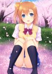  1girl blue_eyes bow cherry_blossoms grass hair_bow hands_on_knees highres kneehighs knees_to_chest kousaka_honoka looking_at_viewer love_live!_school_idol_project n.g. no_shoes open_mouth orange_hair outdoors panties pantyshot pantyshot_(sitting) petals school_uniform side_ponytail sitting skirt smile solo underwear 