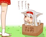  :3 animal_ears cat_ears cat_tail commentary_request for_adoption hairband japanese_clothes kantai_collection kemonomimi_mode long_hair pleated_skirt red_skirt sandals sento_(artist) shoukaku_(kantai_collection) skirt tail translation_request white_hair white_legwear 