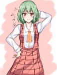  1girl arm_behind_head ascot collarbone commentary_request green_hair hand_on_hip highres kazami_yuuka open_clothes open_vest pose red_eyes shirt short_sleeves skirt smile solo touhou vest wendell 