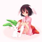  animal_ears bad_id brown_hair bunny bunny_ears bunny_tail carrot inaba_tewi panties rabbit rabbit_ears red_eyes short_hair socks tail touhou underwear upskirt 