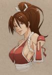  1girl breasts brown_eyes brown_hair fan folding_fan king_of_fighters large_breasts light_smile lips long_hair nose ponytail revealing_clothes rope sash shimenawa shiranui_mai sideboob solo upper_body whistle_frog 