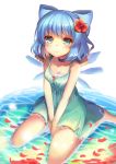  1girl aqua_eyes blue_hair blush choker cirno collarbone dress flower hair_flower hair_ornament ice ice_wings looking_at_viewer miya_(tokumei) partially_submerged petals short_hair solo touhou v_arms wings 