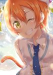 1girl absurdres arms_behind_back cat_tail earrings gankami grin hat highres hoshizora_rin jewelry looking_at_viewer love_live!_school_idol_project necktie one_eye_closed orange_hair short_hair smile solo tail yellow_eyes 