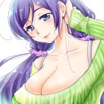  1girl aqua_eyes blush breasts cleavage hatomilkyt large_breasts long_hair looking_at_viewer love_live!_school_idol_project purple_hair solo toujou_nozomi twintails 