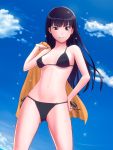  1girl amagami ayatsuji_tsukasa bikini black_eyes black_hair highres long_hair neginegio standing swimsuit towel 