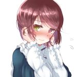  1girl blush brown_hair green_eyes heterochromia red_eyes rozen_maiden shiro-inu short_hair solo souseiseki upper_body 