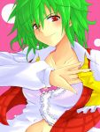  ascot bad_id bra bust green_hair kazami_yuuka lace-trimmed_bra lingerie midriff open_clothes open_shirt plaid_vest red_eyes short_hair smirk touhou underwear untied yude 