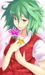  bad_id bust flower green_hair holding holding_flower kazami_yuuka necktie plaid plaid_skirt plaid_vest red_eyes short_hair skirt skirt_set smile touhou yude 