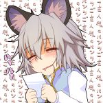  1girl animal_ears blush drooling grey_hair ishikkoro mouse_ears nazrin pervert photo_(object) red_eyes saliva short_hair solo touhou translation_request 