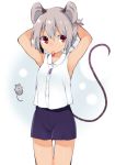  1girl akagashi_hagane alternate_costume alternate_hairstyle animal animal_ears armpits arms_up contemporary grey_hair jewelry looking_to_the_side mouse mouse_ears mouse_tail mouth_hold nazrin necklace ponytail red_eyes rubber_band shirt shorts sleeveless solo tail touhou 