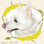  artist_name black_eyes dog flower highres ivy leaf original realistic signature supocon teeth white_hair 