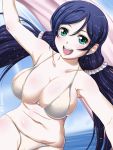  1girl abriel00 bikini breasts green_eyes long_hair love_live!_school_idol_project open_mouth purple_hair smile solo swimsuit toujou_nozomi twintails 