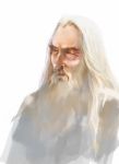  1boy beard christopher_lee commentary facial_hair highres long_hair lord_of_the_rings male_focus old_man portrait rosalind_winteremere saruman simple_background solo white white_background white_hair 