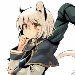  1girl animal_ears brown_eyes capelet dowsing_rod mouse_ears mouse_tail nazrin silver_hair solo tail touhou yudepii 