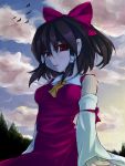  1girl arm_support bare_shoulders bird bow breasts brown_hair clouds detached_sleeves hair_bow hair_tubes hakurei_reimu looking_down maina_(kazumi3) necktie red_eyes sitting sketch sky solo sunset touhou upper_body wide_sleeves 