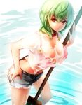  1girl bra breasts broom butt_crack crop_top flower flower_necklace flower_ornament green_hair hand_on_hip jewelry kazami_yuuka large_breasts legs looking_at_viewer nagare navel necklace parted_lips red_bra red_eyes see-through short_hair short_shorts short_sleeves shorts solo touhou underwear water wet wet_clothes 