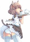  1girl animal_ears ass blush brown_hair cat_ears cat_tail cup from_behind garter_straps hair_ornament hairclip looking_at_viewer looking_back maid maid_headdress miya_(tokumei) open_mouth original panties pantyshot red_eyes short_hair simple_background solo tail teacup teapot thigh-highs tray underwear white_background white_legwear white_panties 