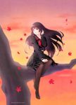  1girl autumn_leaves black_hair commentary_request evening in_tree kanoe_yuuko pantyhose red_eyes school_uniform sitting sitting_in_tree snonfield solo tasogare_otome_x_amnesia tree 