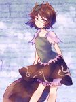  1girl animal_ears brown_eyes brown_hair futatsuiwa_mamizou glasses leaf leaf_on_head pince-nez raccoon_ears raccoon_tail short_hair skirt smile solo tail touhou uranaishi_(miraura) 