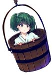  1girl bucket green_eyes green_hair hair_bobbles hair_ornament in_bucket in_container kisume short_hair solo touhou twintails uranaishi_(miraura) 