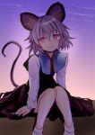  1girl animal_ears capelet grey_hair highres ishikkoro long_sleeves looking_at_viewer mouse_ears mouse_tail nazrin pink_eyes shirt sitting solo tail touhou 