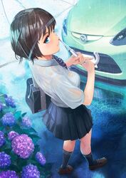  1girl aqua_eyes bag bra brown_hair car flower hydrangea mazda mazda_demio motor_vehicle pleated_skirt rain school_bag school_uniform short_hair skirt tan_taka transparent_umbrella underwear vehicle wet wet_clothes 