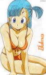  bikini blue_eyes blue_hair bulma dragon_ball swimsuit tagme 