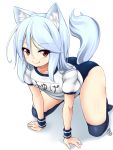  1girl amau_(kosmos) animal_ears ass blue_legwear borrowed_character buruma fang fox_ears fox_tail gym_uniform looking_at_viewer original over-kneehighs puffy_short_sleeves puffy_sleeves revision shirt short_sleeves silver_hair smile solo tail thigh-highs 