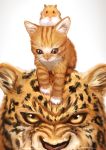  bon_nob cat commentary_request hamster leopard no_humans odd_one_out on_head 