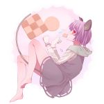  1girl animal_ears barefoot cookie dx_(dekusu) eating food from_side grey_hair highres mouse_ears mouse_tail nazrin red_eyes short_hair solo tail touhou 