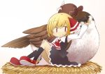  1girl animalization bird bird_nest blonde_hair frilled_skirt frills hair_ribbon hat jagabutter mystia_lorelei mystia_lorelei_(bird) red_eyes ribbon rumia shirt short_hair sitting skirt smile touhou vest 