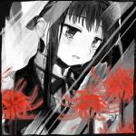  akemi_homura blanket drawr flower mahou_shoujo_madoka_magica mahou_shoujo_madoka_magica_movie monochrome sham00 spider_lily spoilers tears 