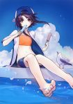  1girl ainy77 backwards_hat barefoot baseball_cap bird brown_eyes clouds eating floating_hair hat holding looking_at_viewer navel outdoors petals popsicle purple_hair seagull short_hair_with_long_locks shorts sitting sky solo sword_girls water 