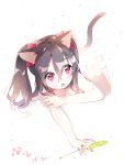  1girl all_fours animal_ears atsumi_jun black_hair bow cat_ears cat_tail cattail hair_bow kemonomimi_mode love_live!_school_idol_project open_mouth plant red_eyes solo tail twintails yazawa_nico 