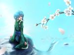  1girl blue_eyes blue_hair borushichi cherry_blossoms from_behind head_fins highres looking_to_the_side mermaid monster_girl open_mouth ripples short_hair sitting_on_rock solo touhou tree_branch wakasagihime water 